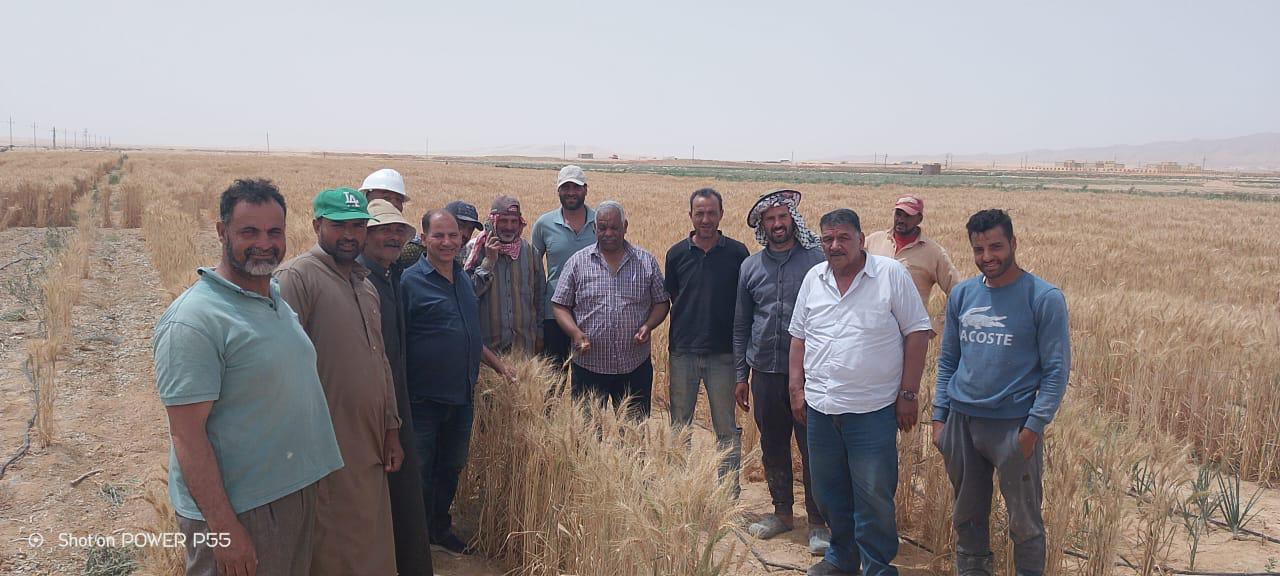 تزامناً مع العيد القومي لسيناء.. مركز بحوث الصحراء يواصل دعم المزارعين ميدانياً رغم التحديات المناخية