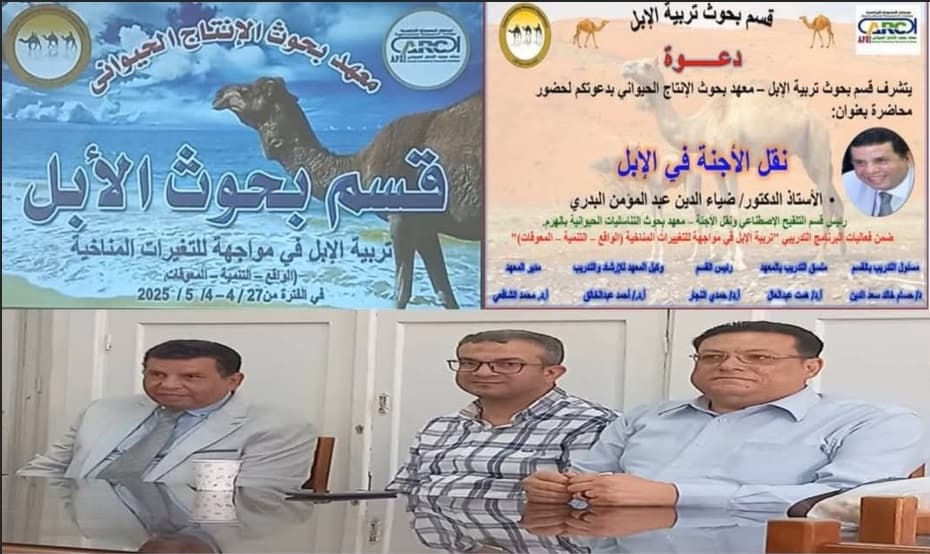 IMG 20250503 WA0017