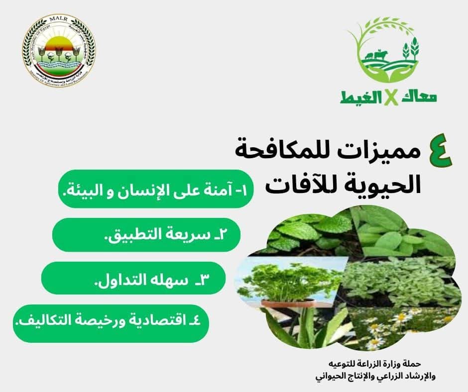 IMG 20250512 WA0014