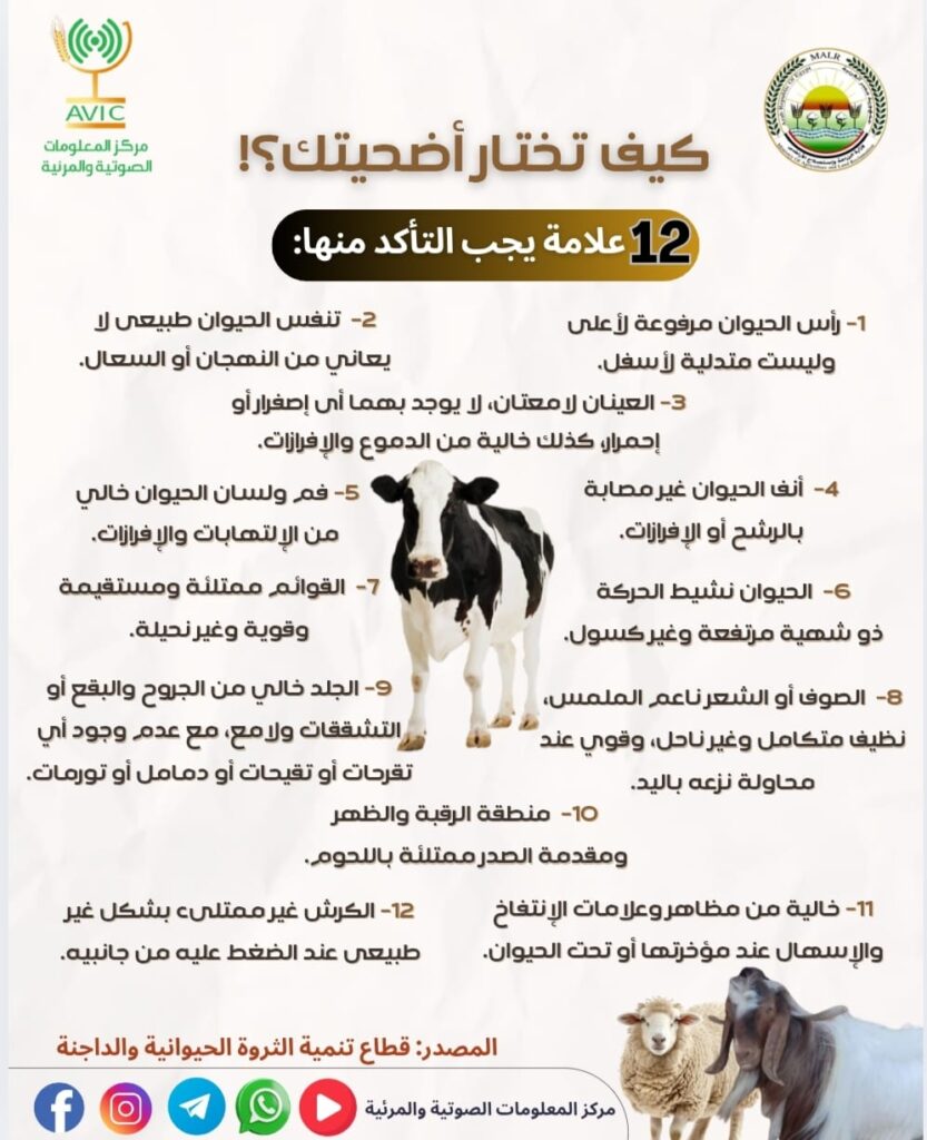 IMG 20250529 WA0157