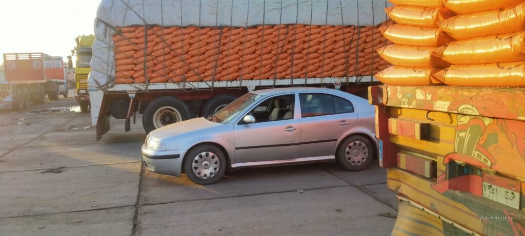 5407ae47 4921 4387 ae3d 64a174ef209b