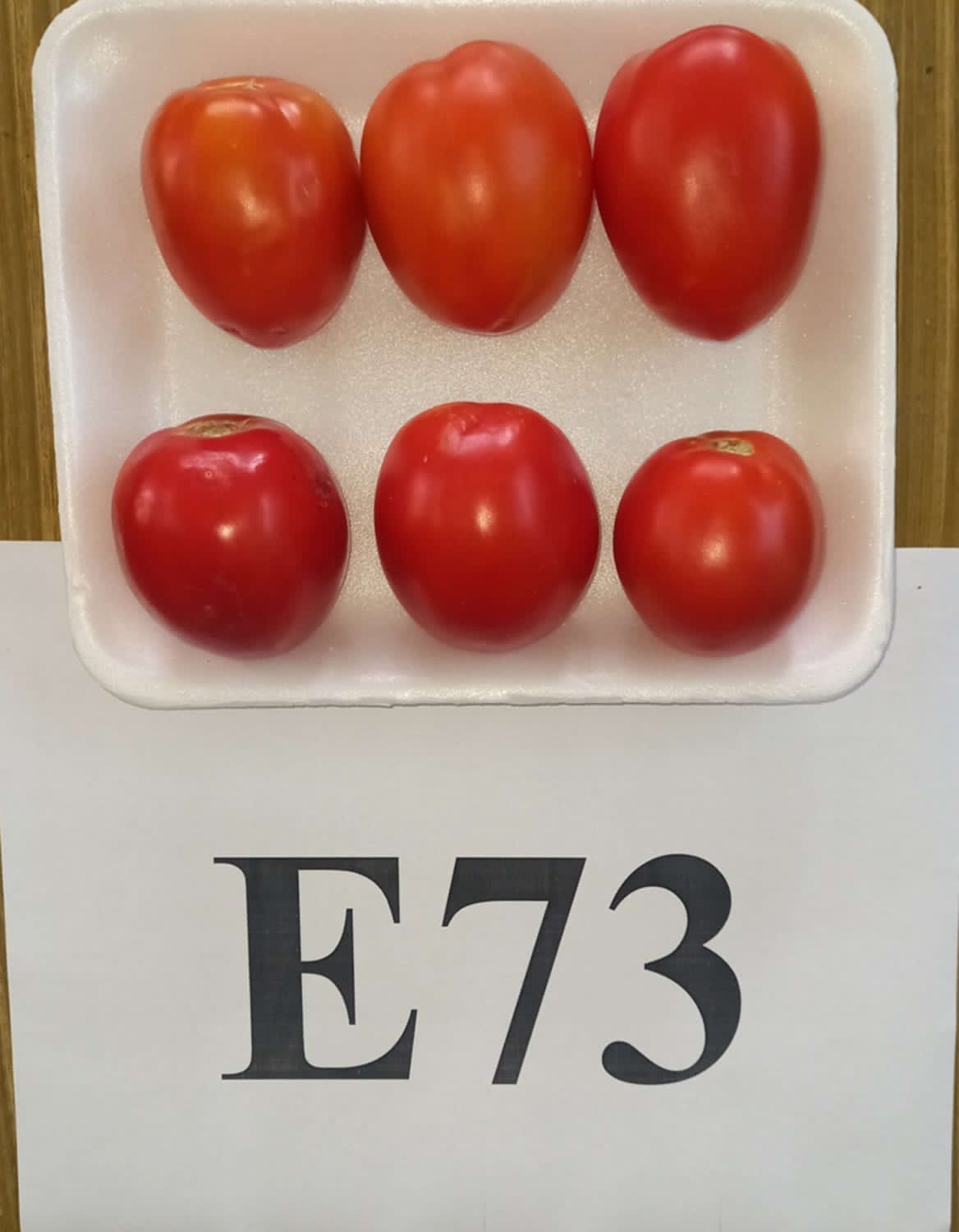 165eb948 74a8 4490 b318 8f4cb8a435cb