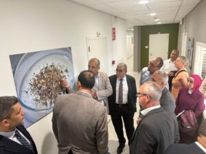 aa9085ad 8e2c 46ec 85c8 24d02c1437fd