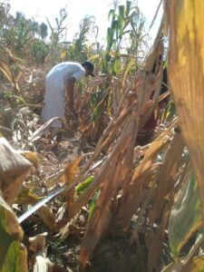 d9f105ca 4b7d 414f aad6 d8a4b5bad0cb