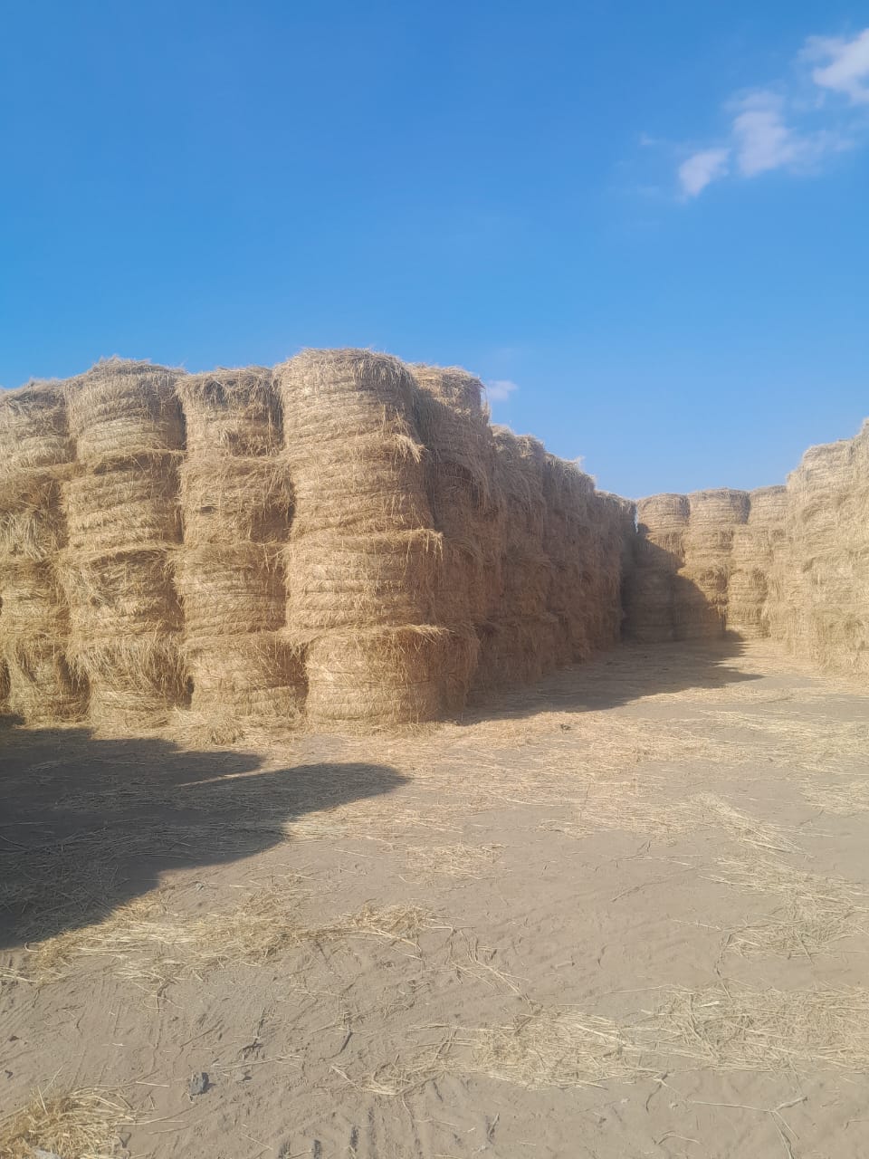 IMG 20251024 WA0047