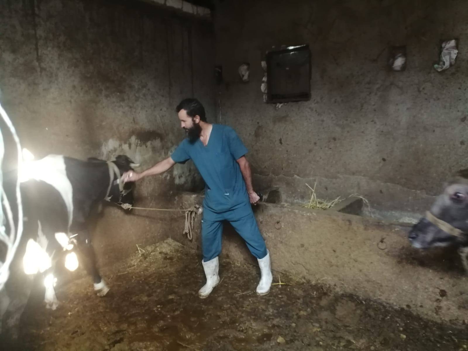 وزير الزراعة يتابع جهود الحملة القومية لتحصين الماشية.. 16 IMG 20251029 WA0016