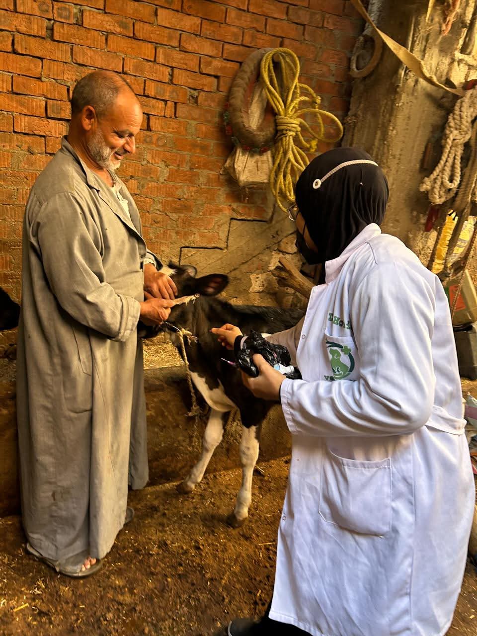 وزير الزراعة يتابع جهود الحملة القومية لتحصين الماشية.. 4 IMG 20251029 WA0018