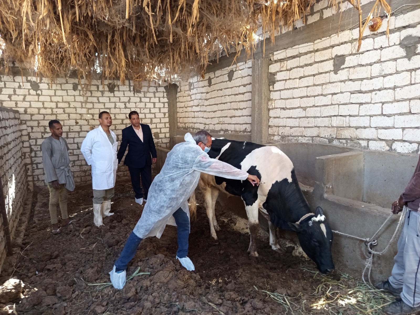 وزير الزراعة يتابع جهود الحملة القومية لتحصين الماشية.. 6 IMG 20251031 WA0002