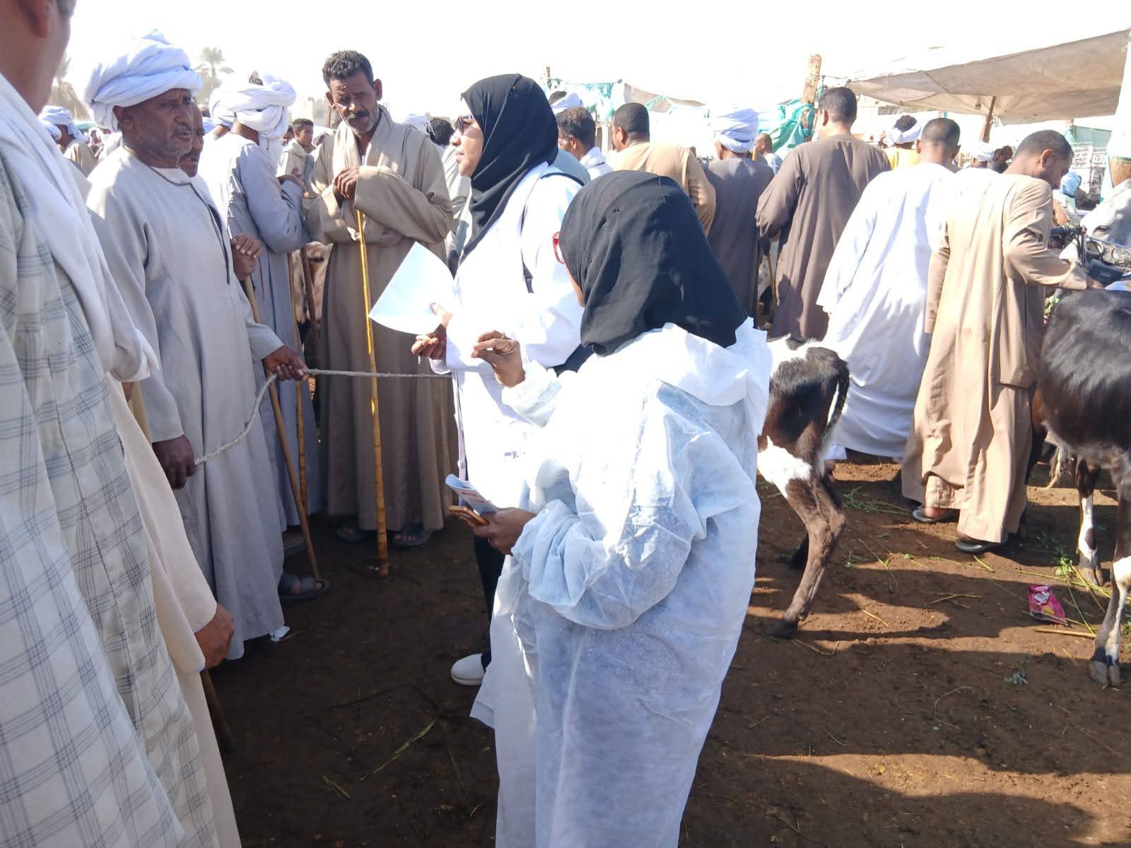 وزير الزراعة يتابع جهود الحملة القومية لتحصين الماشية.. 7 IMG 20251031 WA0004