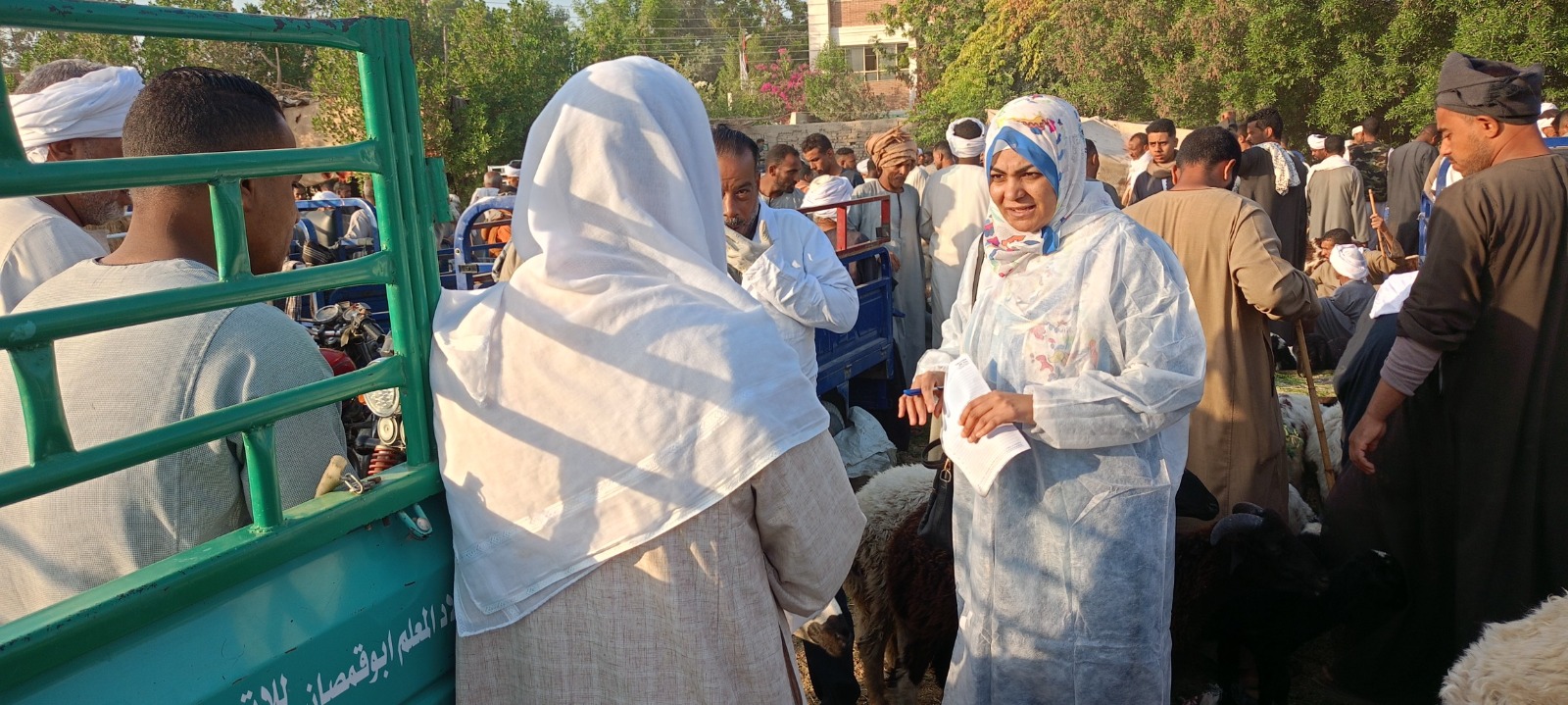 وزير الزراعة يتابع جهود الحملة القومية لتحصين الماشية.. 12 IMG 20251031 WA0007