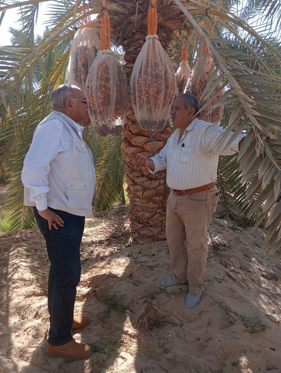 "الزراعة" تنشر ملخصا حول أبرز الجهود والأنشطة البحثية والإرشادية والخدمية والميدانية لمركز بحوث الصحراء خلال أكتوبر 9 IMG 20251031 WA0027