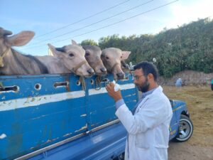 1ab91012 22da 494f bfcf b238c5ff938d