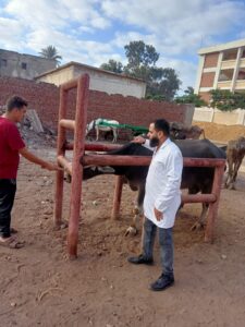 717cace1 9bd6 411e 8081 751cf2b96b26