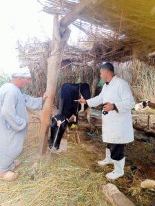 7b57e418 b229 48bf b3ea 2518e0c1d5d0