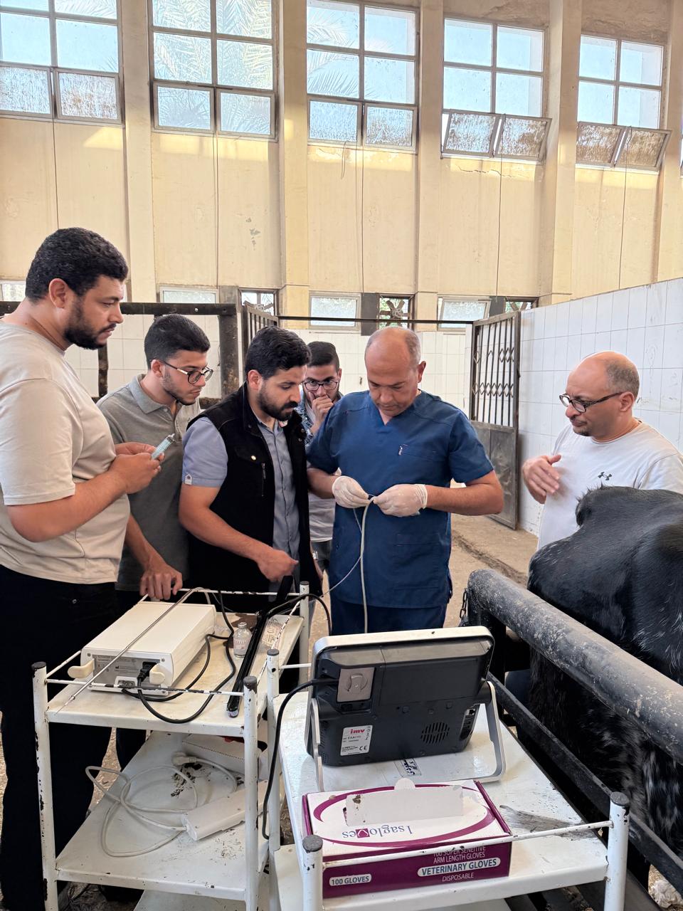 الزراعة" تعقد ورشة عمل دولية حول التقنيات الحديثة في تشخيص وعلاج المشاكل التناسلية بالخيول وحيوانات المزرعة 5 86 2