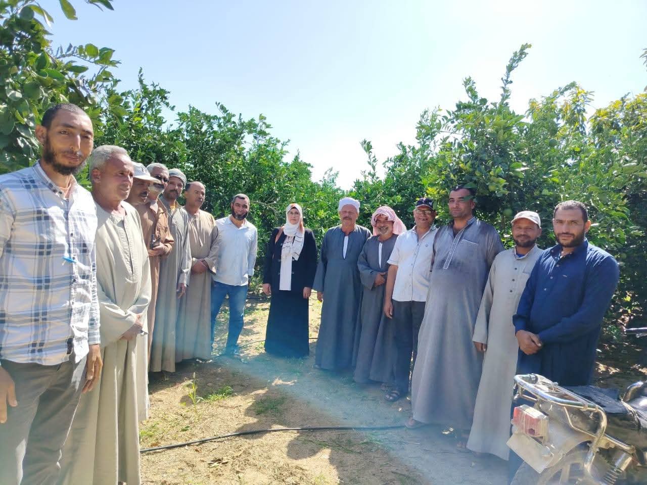 "الزراعة" تنفذ أكثر من 2300 نشاط إرشادي متنوع لدعم أكثر من 61 ألف مزارع خلال اكتوبر ضمن مبادرة "البحوث الزراعية" لتفعيل المراكز الإرشادية 7 88 1
