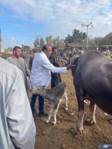 8d9866ef ff0a 4698 a5a9 c4edf998bba5