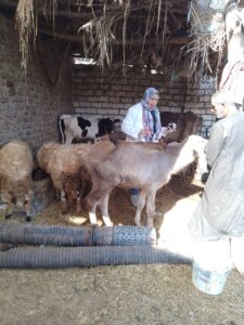 91e22b38 1bf9 41f0 896f 0cad5109c3a2