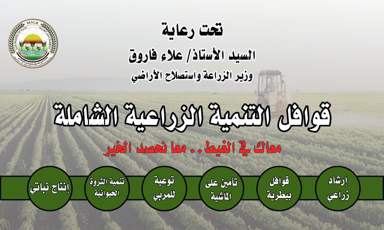 برعاية "فاروق".. الأحد.. "الزراعة" تدشن سلسلة "قوافل التنمية الزراعية الشاملة" من محافظة المنيا 1 IMG 20251107 WA0069