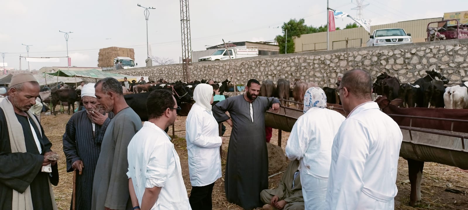 IMG 20251108 WA0012 1