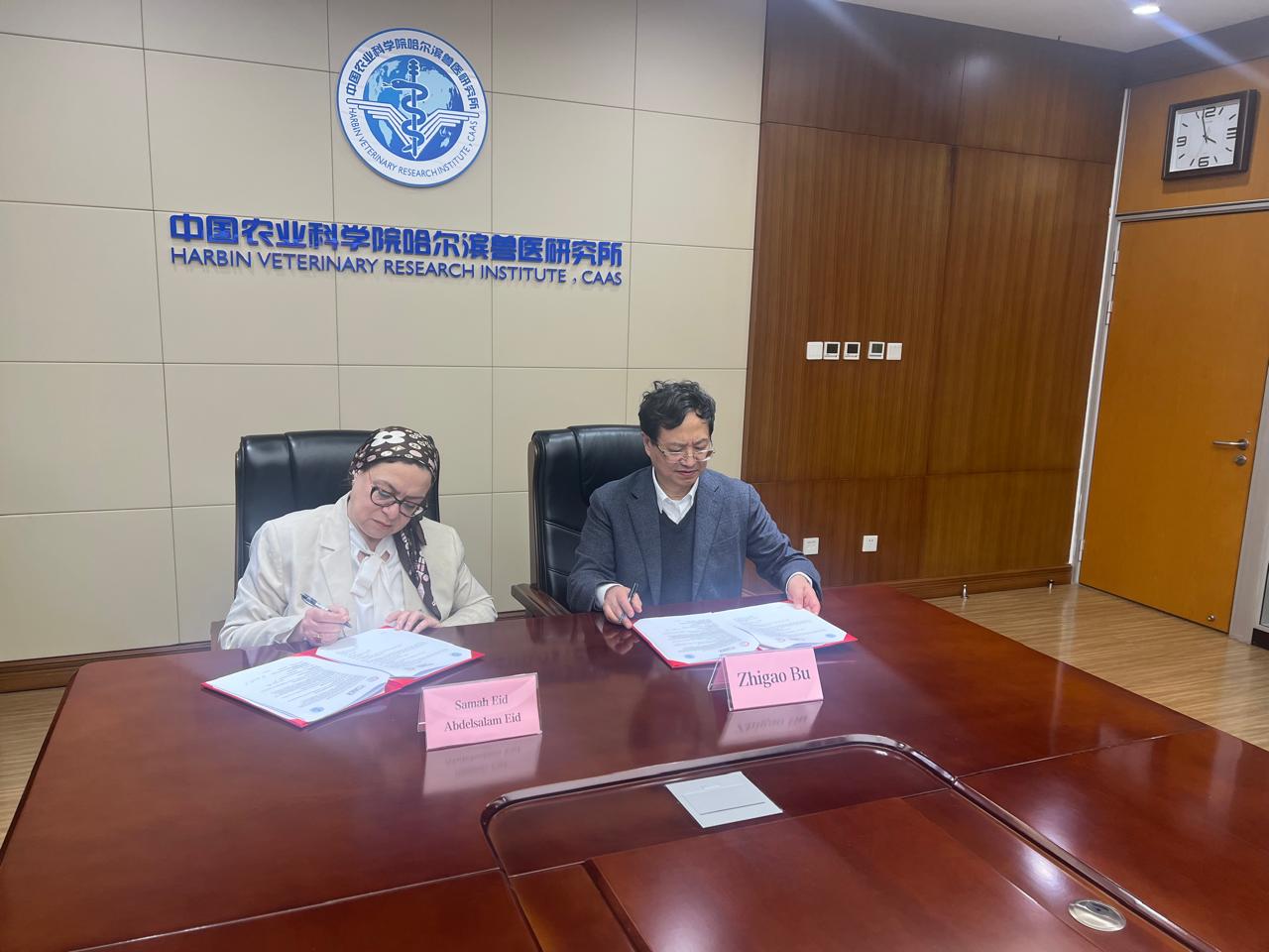 IMG 20251115 WA0016 1