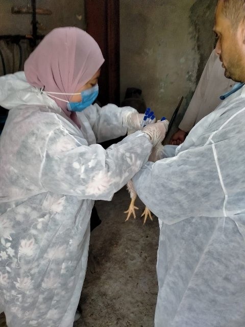 IMG 20251121 WA0036 1