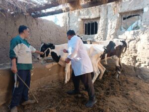 c0cc1ce9 734b 4486 be10 473dadd2afe0