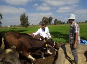 c4b9ef59 b04f 4b38 a7cf 64f05f2eaf26