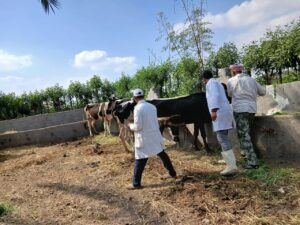 d38881e8 d431 4638 a18f aab2f9d13086