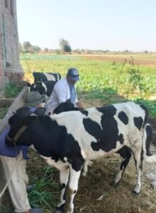 d8fd3ee7 e77e 4172 8ea2 268fad6a7db7