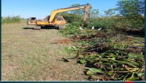 50e1b734 0986 4355 a323 6e08f4f42a33