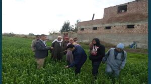 56407882 a076 4e32 912e f661f9cb998e