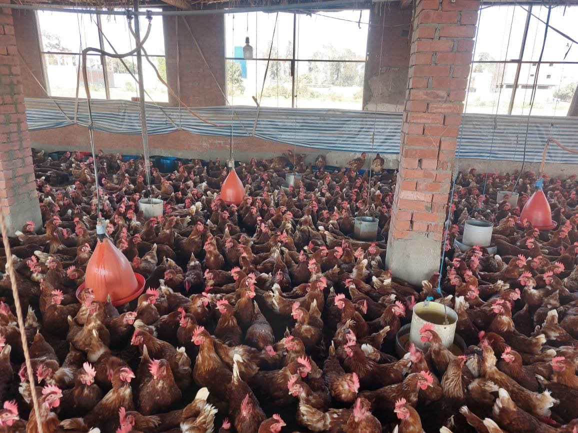 787be9b0 076b 4377 a324 857074248014