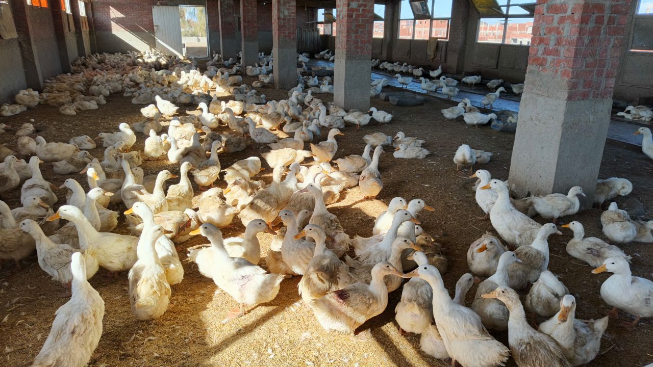 7ccfef73 375d 4dde bf8f 92fb53b27401