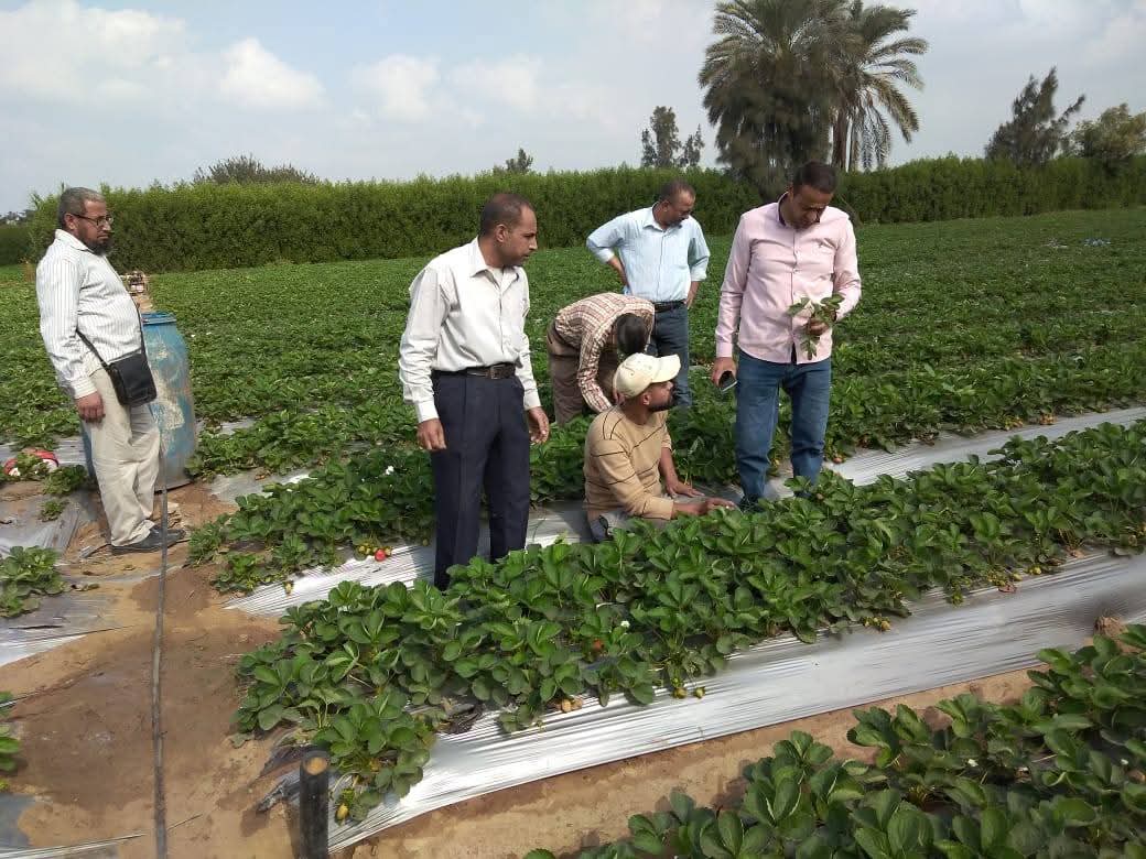 IMG 20251206 WA0041 1