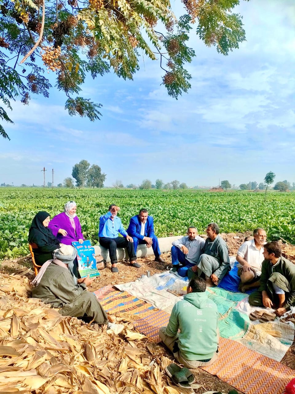 IMG 20251212 WA0027 1