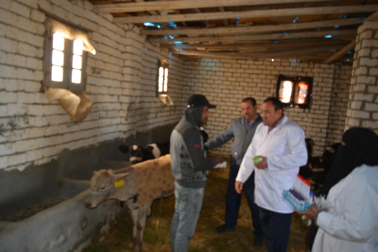 "بحوث الصحراء" يطلق قوافل إرشادية وبيطرية لدعم مربي الثروة الحيوانية بمنطقة المغرة 9 IMG 20251213 WA0022