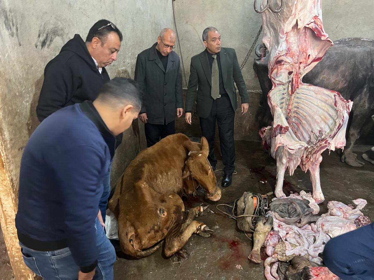 IMG 20251213 WA0032 1