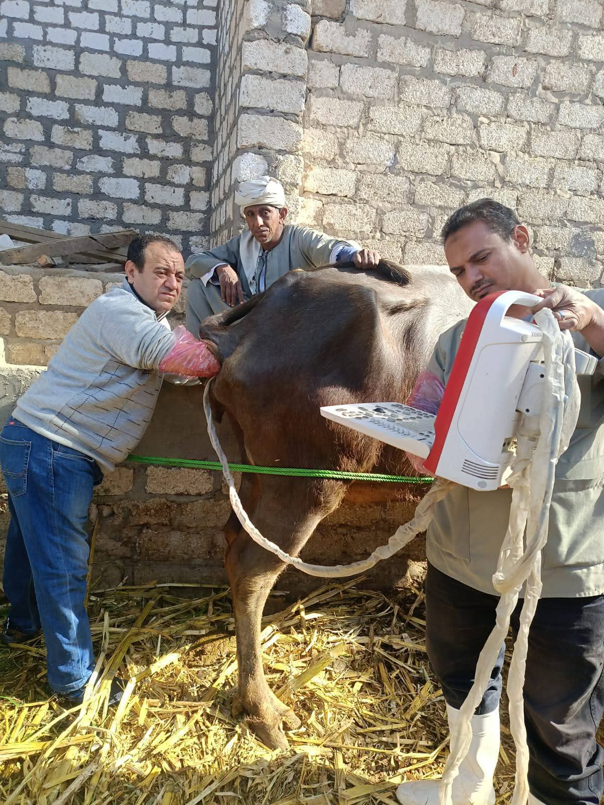 IMG 20251220 WA0022 1