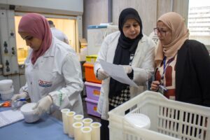 c2e11c08 e9d0 48b8 a51c 5fb194dd6a5f