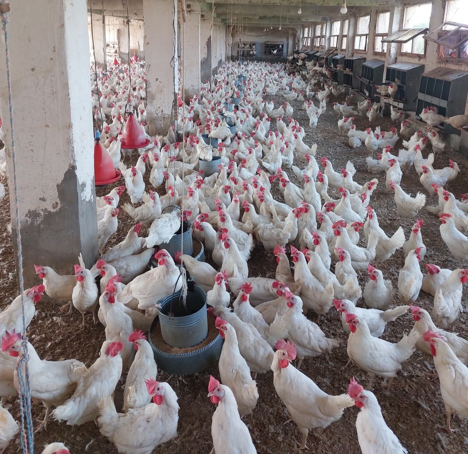 cbc5b1b0 e855 457e bc3a eb6225f88e5f