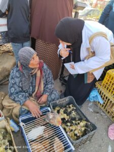 "الزراعة": فرق التقصي والترصد الوبائي بالخدمات البيطرية تطرق أبواب 13 ألف منزل في 1300 قرية خلال ديسمبر 1 0a8d92a1 cee1 41a7 aa20 cbd8fec287fb