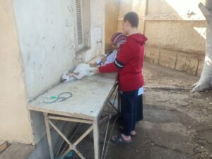 19ed728d 0daa 4d91 a748 5f0a9285c788