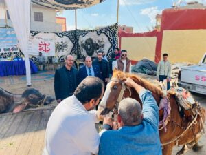 2b27824e 775a 41b9 8c81 551332763c7a 1