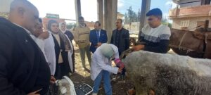 485c1419 53fa 486b a869 50db6c9ffc36