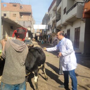 562c1c6a 859d 49e1 95ac f7b070426b1c 1