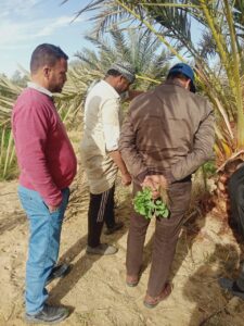 6845bffa edeb 44fe 96ea b190fc370683