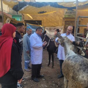 84aeee78 a7a3 438c bd58 19865ef2400b