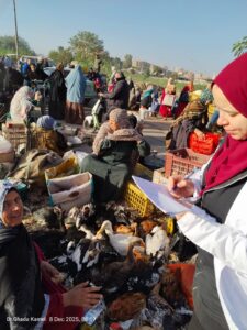 "الزراعة": فرق التقصي والترصد الوبائي بالخدمات البيطرية تطرق أبواب 13 ألف منزل في 1300 قرية خلال ديسمبر 2 901cf355 80ff 4025 9022 b58231879e5e