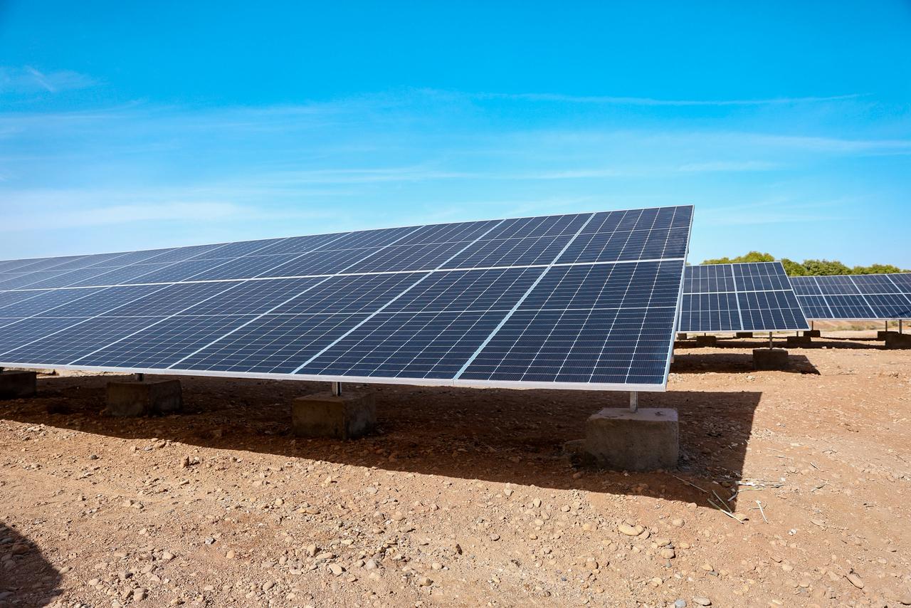 وزيرا «التخطيط والتنمية الاقتصادية والتعاون الدولي» و«الزراعة واستصلاح الأراضي» ومحافظ أسوان والمدير القُطري للإيفاد يفتتحون محطة الزهراء للطاقة الشمسية لخدمة 480 فدان 13 IMG 20260110 WA0031